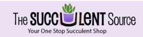 The Succulent Source