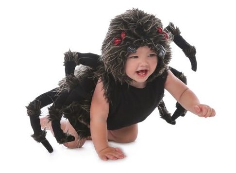 Tarantula Talan Infant Halloween Costume