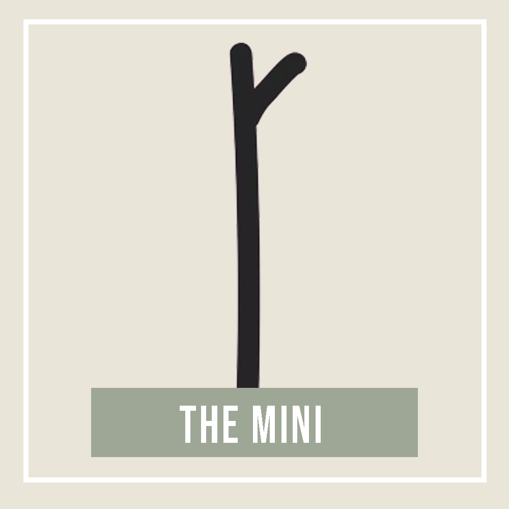 The Mini