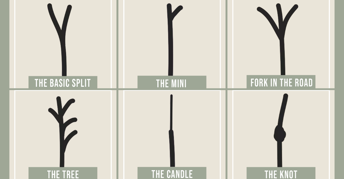 Types of Split Ends